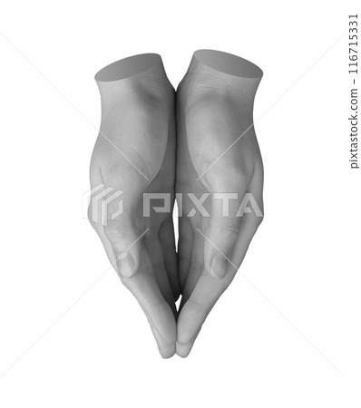 Both hands together holding something little invisible, caring gesture, sign isolated on white 116715331