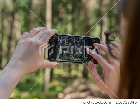 . Lodz Poland June 1 2024 Hands shooting with mobile phone, taking photo, capturing shot in nature, 116715349