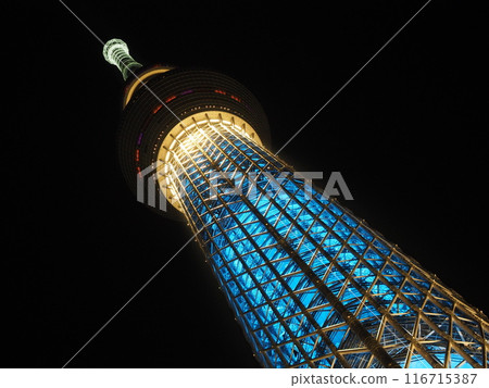 漆黑的夜晚，天空樹被照亮 116715387
