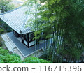 A temple in a bamboo grove 116715396