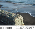 Romantic beach 116715397