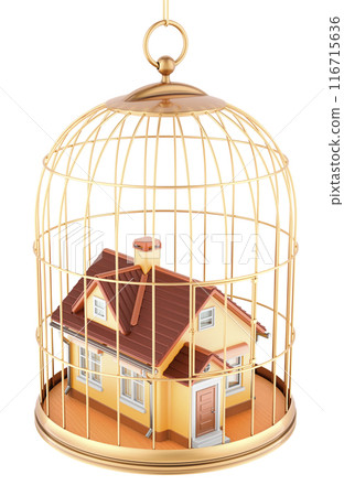 Birdcage with home inside, 3D rendering Birdcage with home inside, 3D rendering 116715636