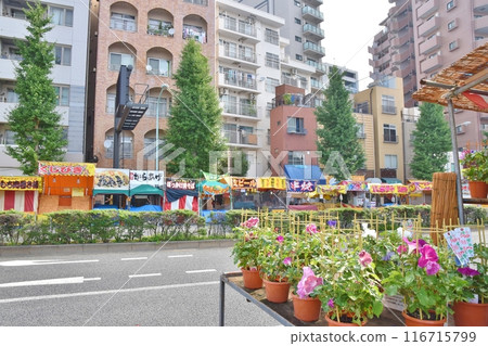 陽光明媚的早晨,東京入谷朝顏市 陽光明媚的早晨,東京入谷朝顏市 116715799