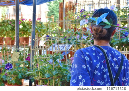 Sunny morning at Iriya Morning Glory Market, Tokyo 116715828