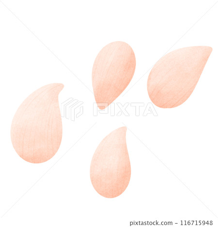 Seeds, cultivated seeds, strawberry seeds Seeds, cultivated seeds, strawberry seeds 116715948