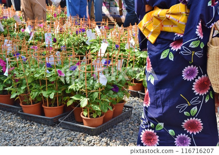 Sunny morning at Iriya Morning Glory Market, Tokyo 116716207