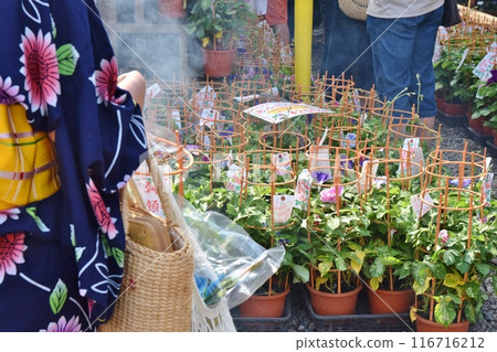 Sunny morning at Iriya Morning Glory Market, Tokyo 116716212
