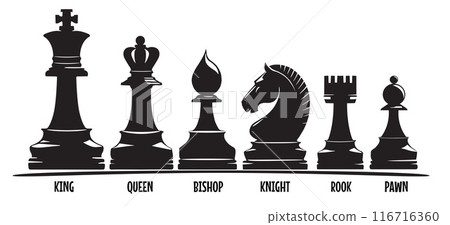 Chess pieces. King, Queen, bishop, knight, rook and pawn and bishop , success strategy. Chess pieces. King, Queen, bishop, knight, rook and pawn and bishop , success strategy. 116716360