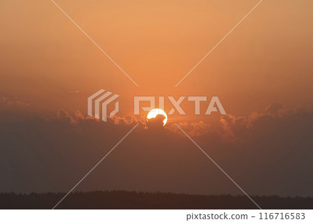 The solar disk. The setting sun in a cloud over the forest. The solar disk. The setting sun in a cloud over the forest. 116716583