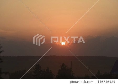 The solar disk. The setting sun in a cloud over the forest. The solar disk. The setting sun in a cloud over the forest. 116716585