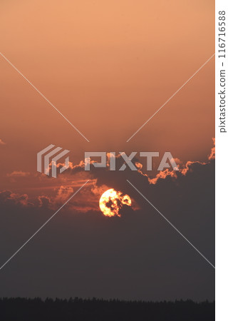 The solar disk. The setting sun in a cloud over the forest. 116716588
