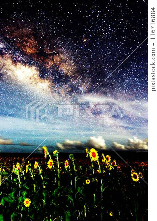 Milky Way Galaxy Milky Way Galaxy 116716884