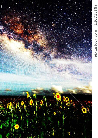 Milky Way Galaxy 116716885
