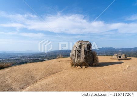 [Nara Prefecture] Wakakusayama Uguisuzuka Tomb 116717204