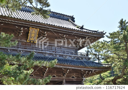 Birthplace Temple on a clear day in Chiba Birthplace Temple on a clear day in Chiba 116717624