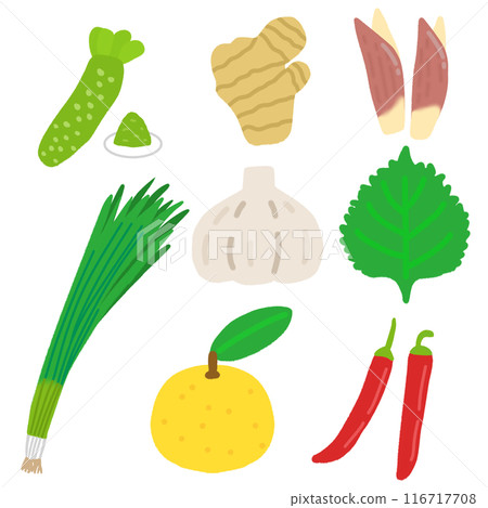 Illustration set of various vegetables (condiments) 116717708