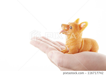 image of toy dog hand image of toy dog hand 116717742