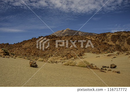 The Teide volcano in the background and its surroundings. Tenerife Canary Islands Spain 116717772
