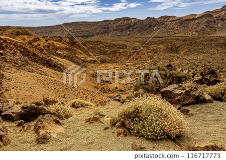 Landscape of the Teide National Park. Tenerife Canary Islands Spain 116717773