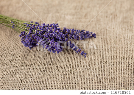 Bunch of Lavender isolated on a linen texture background Bunch of Lavender isolated on a linen texture background 116718561
