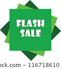Flash Sale Vector Graphic 116718610