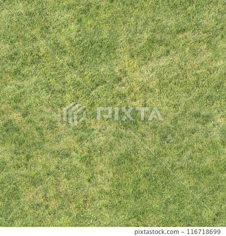 lawn grass, seamless texture, pavement, tile horizontal and vertical 116718699
