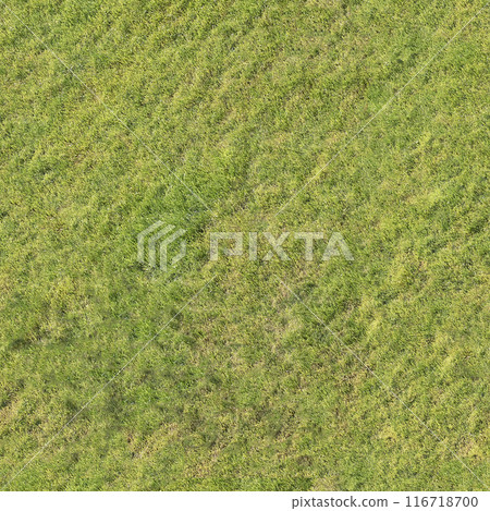 lawn grass, seamless texture, pavement, tile horizontal and vertical lawn grass, seamless texture, pavement, tile horizontal and vertical 116718700