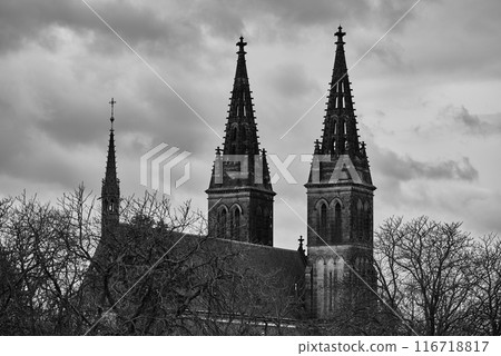 Basilica of St. Peter and St. Paul, neo-Gothic church in Vysehrad fortress in Prague, Czech Republic 116718817