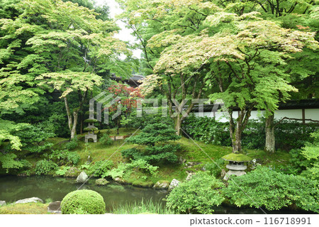 Imperial Palace Garden, Sennyuji Temple, Higashiyama Ward, Kyoto City Imperial Palace Garden, Sennyuji Temple, Higashiyama Ward, Kyoto City 116718991