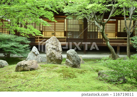 Early summer's Shion Garden, Kenninji Temple, Higashiyama Ward, Kyoto City 116719011