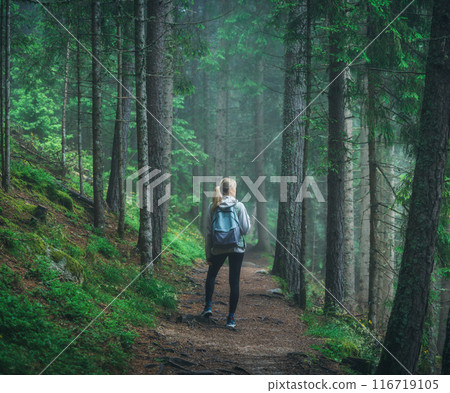 Woman in a blue jacket with backpack is walking on a forest trai Woman in a blue jacket with backpack is walking on a forest trai 116719105