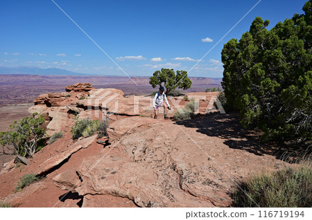 Woman hiking on White Rim Overlook Trail in Canyonlands National Park, Utah. 116719194