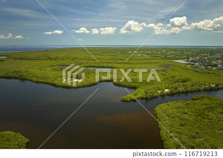 Aerial view of Florida wetlands with green vegetation between ocean water inlets. Natural habitat of many tropical species Aerial view of Florida wetlands with green vegetation between ocean water inlets. Natural habitat of many tropical species 116719213