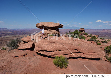 Woman hiking on White Rim Overlook Trail in Canyonlands National Park, Utah. Woman hiking on White Rim Overlook Trail in Canyonlands National Park, Utah. 116719253