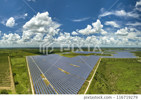 Aerial view of big sustainable electric power plant with many rows of solar photovoltaic panels for producing clean electrical energy. Renewable electricity with zero emission concept Aerial view of big sustainable electric power plant with many rows of solar photovoltaic panels for producing clean electrical energy. Renewable electricity with zero emission concept 116719279