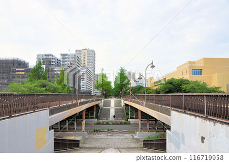 光丘公園 二子橋 光丘公園 二子橋 116719958