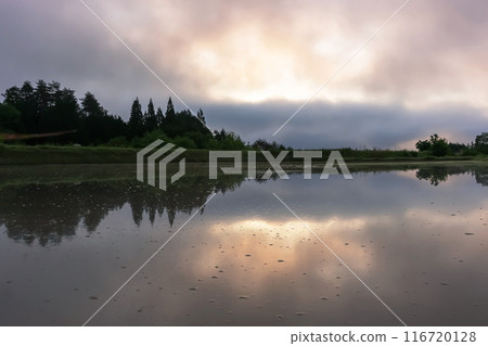 240530上野戴拉茲036 116720128