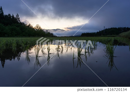 240530Uenodairaz013 116720134