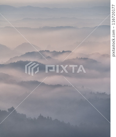 茨城縣常陸大宮市山王山自然公園，山巒漂浮在雲海中 116720177