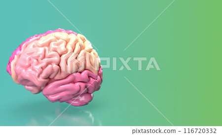 The pink brain for eduction or creative concept 3d rendering. 116720332