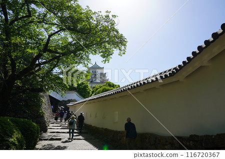 姬路城通往天守閣的道路 姬路城通往天守閣的道路 116720367