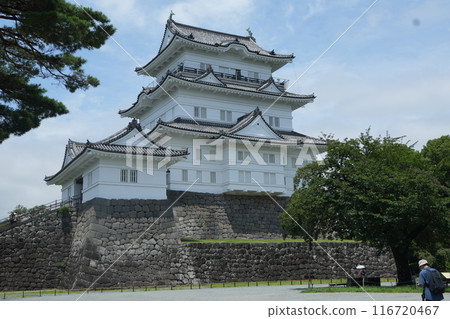 Odawara castle castle tower Odawara castle castle tower 116720467