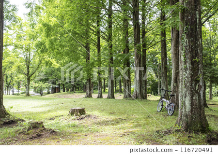 Fresh greenery and early summer cycling image (Hiruzen Plateau) Fresh greenery and early summer cycling image (Hiruzen Plateau) 116720491