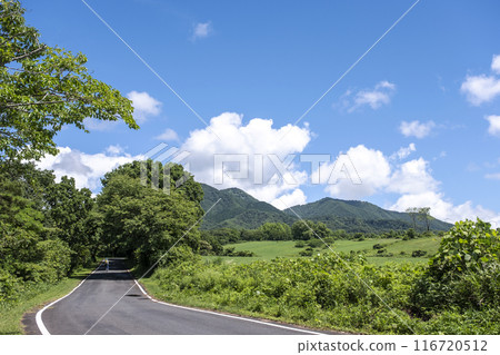 清新的綠意與初夏的騎乘形象（蒜山高原） 116720512