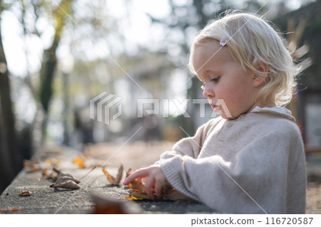 autumn outdoor portrait of beautiful happy child girl walking in park autumn outdoor portrait of beautiful happy child girl walking in park 116720587