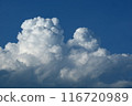 夏の雲 116720989
