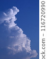 夏の雲 116720990