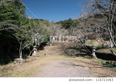 Scenery of Seibo Shrine on a sunny day Scenery of Seibo Shrine on a sunny day 116721063