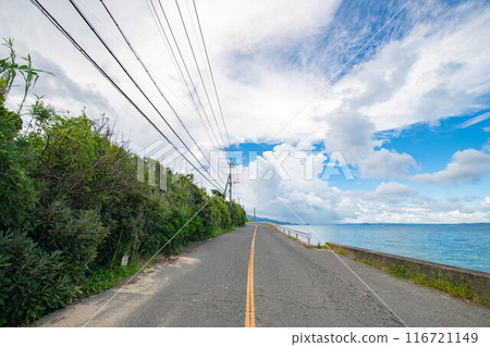 Summer seafront view Summer seafront view 116721149