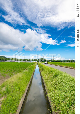 Summer view of the irrigation channel 116721157